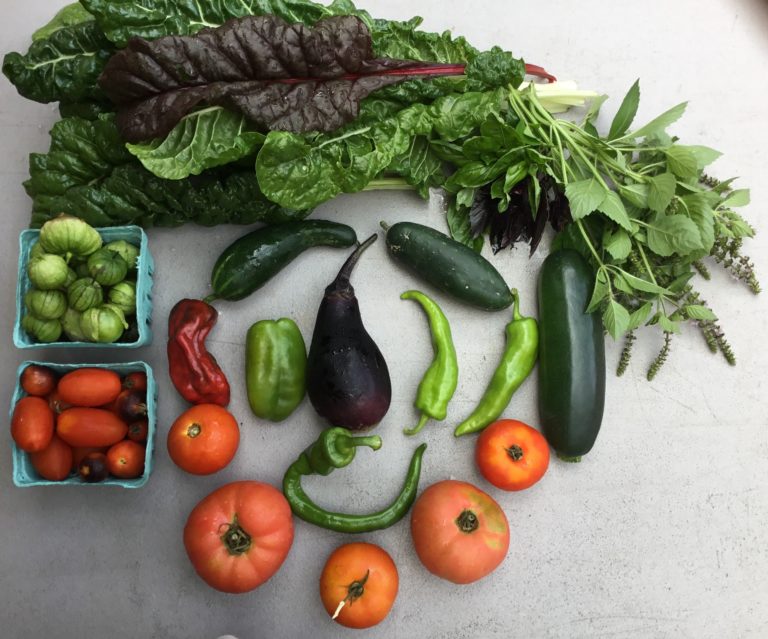 produce in Sustainabillies summer CSA box
