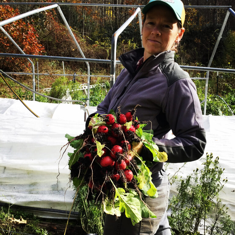 Sara harvesting radishes