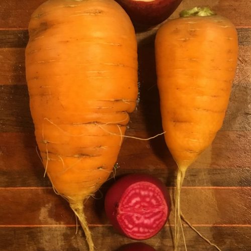 carrots from Sustainabillies